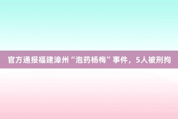 官方通报福建漳州“泡药杨梅”事件，5人被刑拘