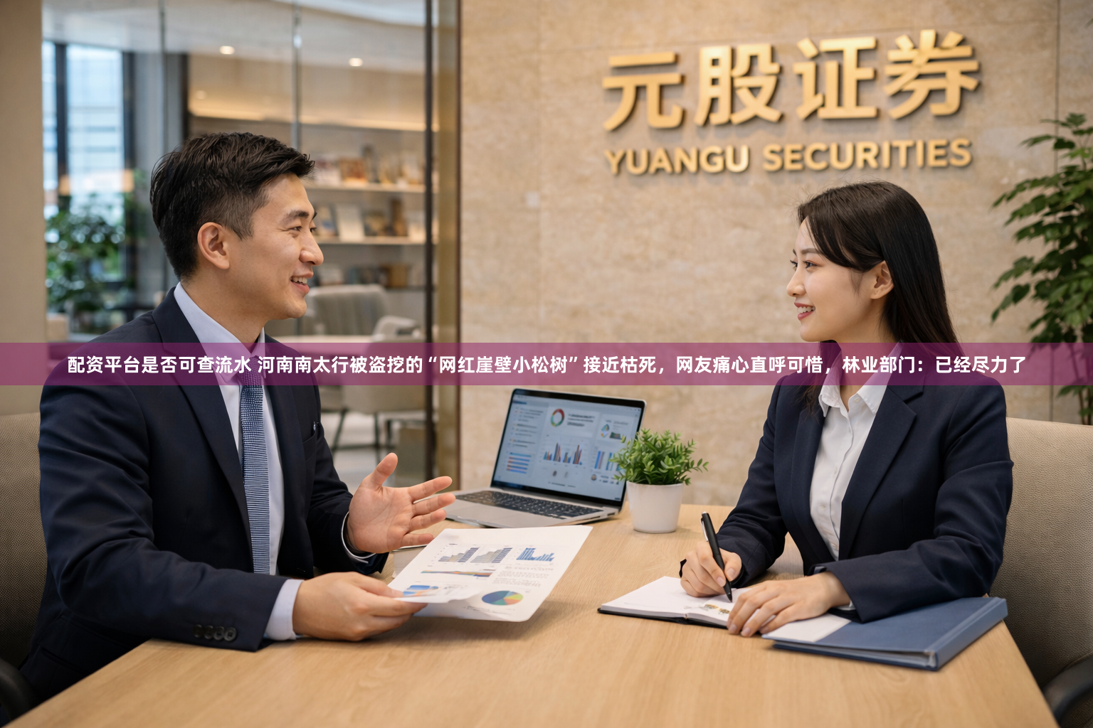 配资平台是否可查流水 河南南太行被盗挖的“网红崖壁小松树”接近枯死，网友痛心直呼可惜，林业部门：已经尽力了