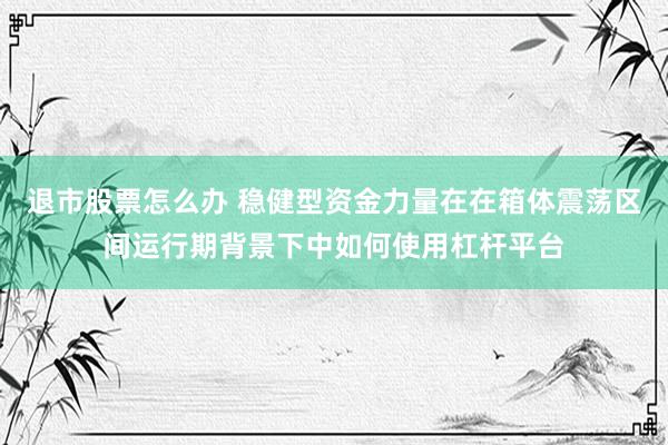 退市股票怎么办 稳健型资金力量在在箱体震荡区间运行期背景下中如何使用杠杆平台